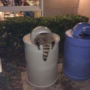 Meet your Posher, Nellie